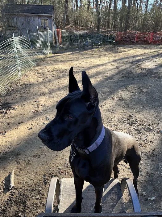 Central Avenue Veterinary Clinic Picture 2