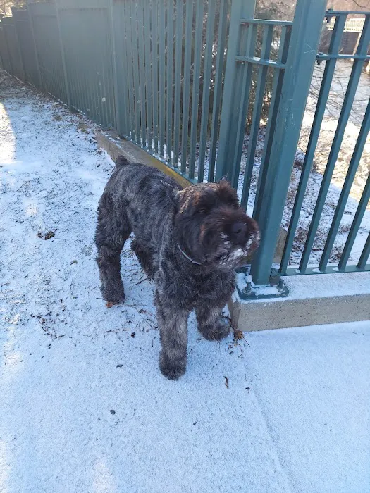 Central Avenue Veterinary Clinic Picture 7