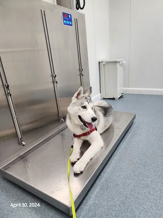 Central Avenue Veterinary Clinic Picture 9