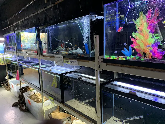 Animal House Pet Shop Picture 10