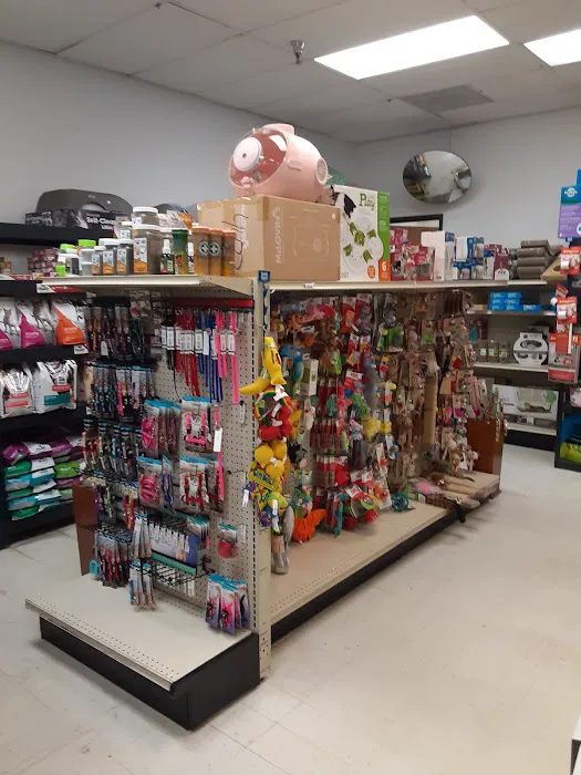 Animal House Pet Shop Picture 4