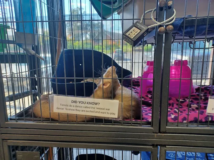 Animal House Pet Shop Picture 2