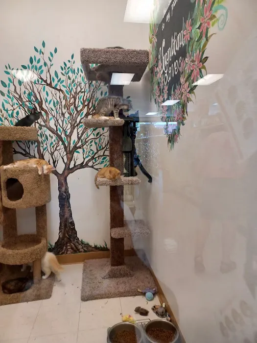 Animal House Pet Shop Picture 1