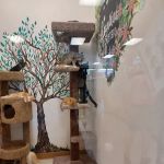 Animal House Pet Shop