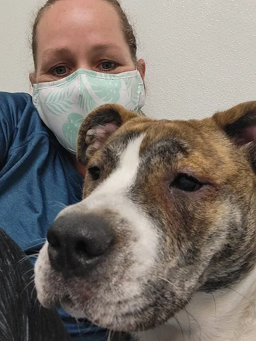 The Crimson Reef, LLC Picture 5