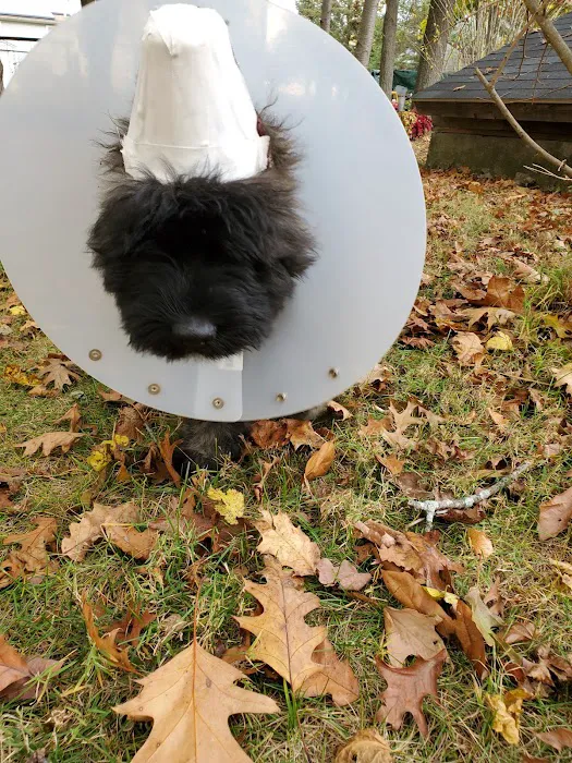 The Crimson Reef, LLC Picture 4