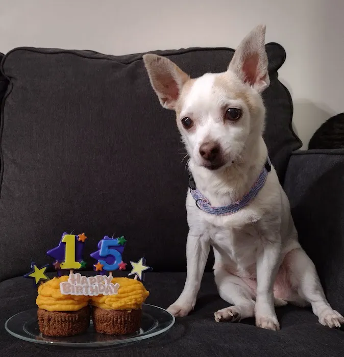 The Crimson Reef, LLC Picture 2