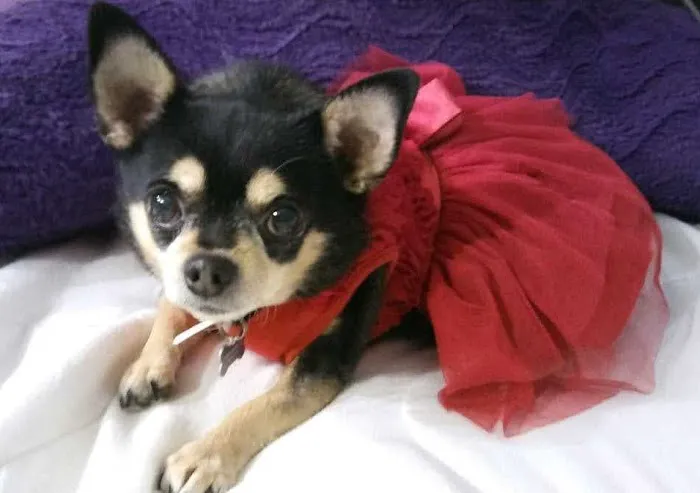 The Crimson Reef, LLC Picture 1