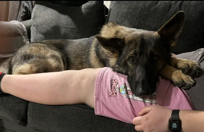 The Crimson Reef, LLC Picture 8