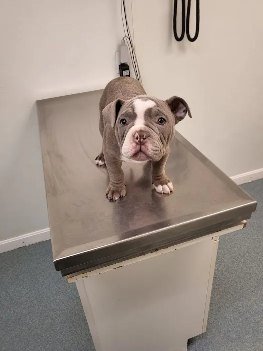 The Crimson Reef, LLC Picture 7