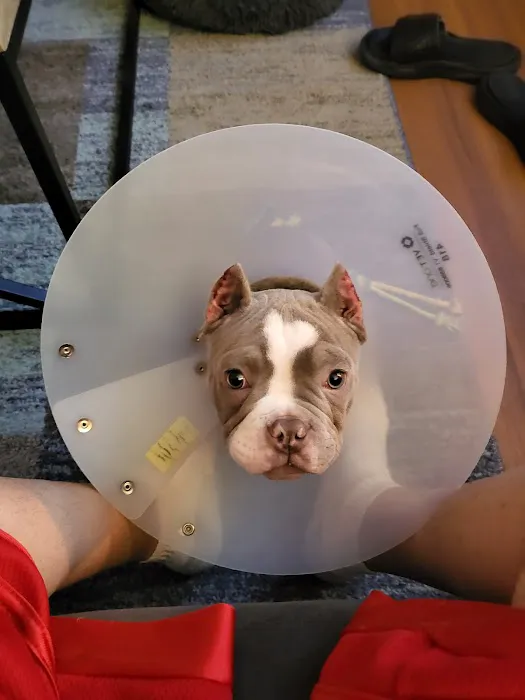 The Crimson Reef, LLC Picture 9