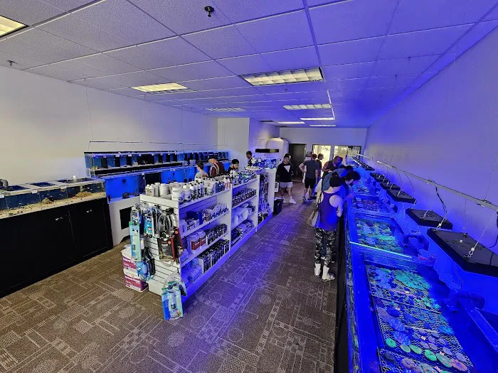 The Crimson Reef, LLC Picture 10