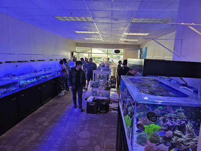 The Crimson Reef, LLC Picture 14