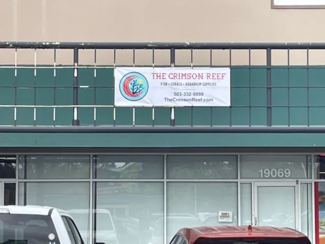 The Crimson Reef, LLC Picture 15