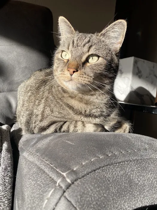 Spinnaker Veterinary Clinic Picture 4