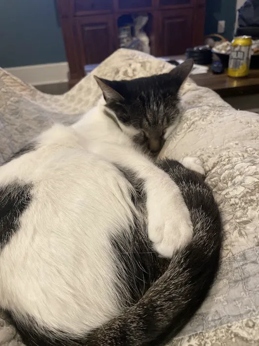 Spinnaker Veterinary Clinic Picture 3