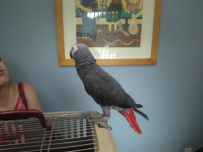 Spinnaker Veterinary Clinic Picture 1