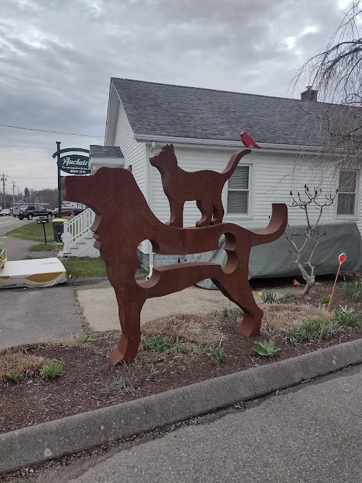 Spinnaker Veterinary Clinic Picture 7