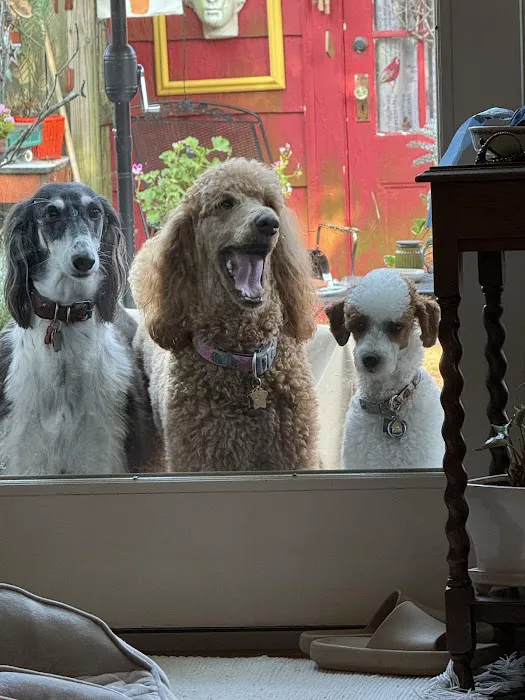 Spinnaker Veterinary Clinic Picture 2