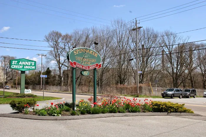 Spinnaker Veterinary Clinic Picture 10