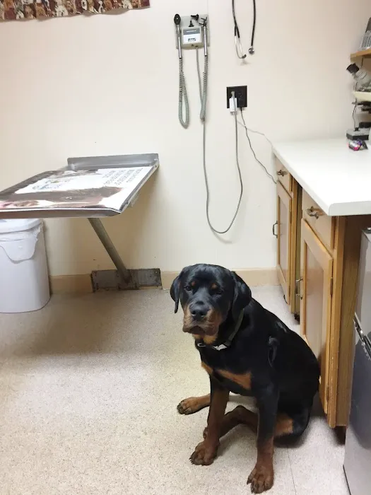 TLC Animal Hospital Rehoboth Picture 4