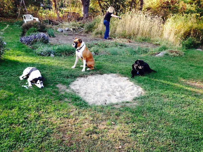 Dighton Rehoboth Animal Hospital, Inc Picture 1