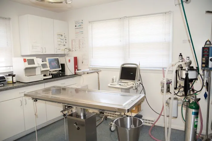 Dighton Rehoboth Animal Hospital, Inc Picture 2