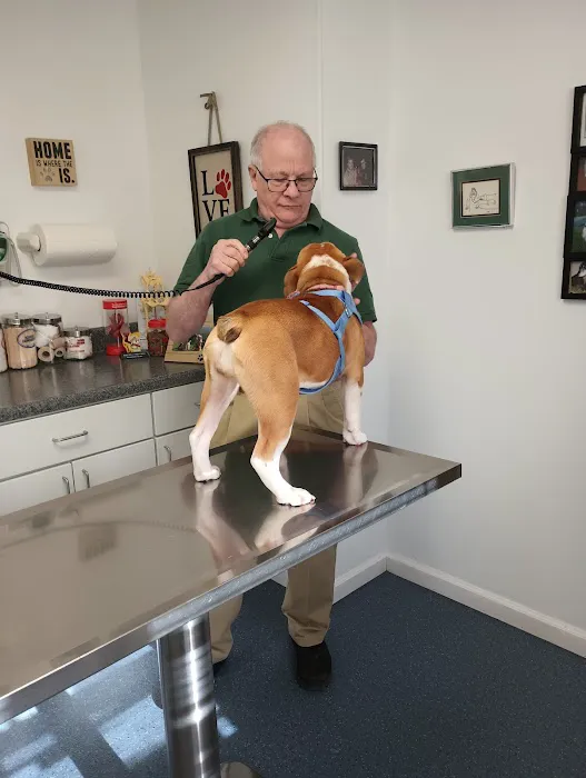 Dighton Rehoboth Animal Hospital, Inc Picture 4