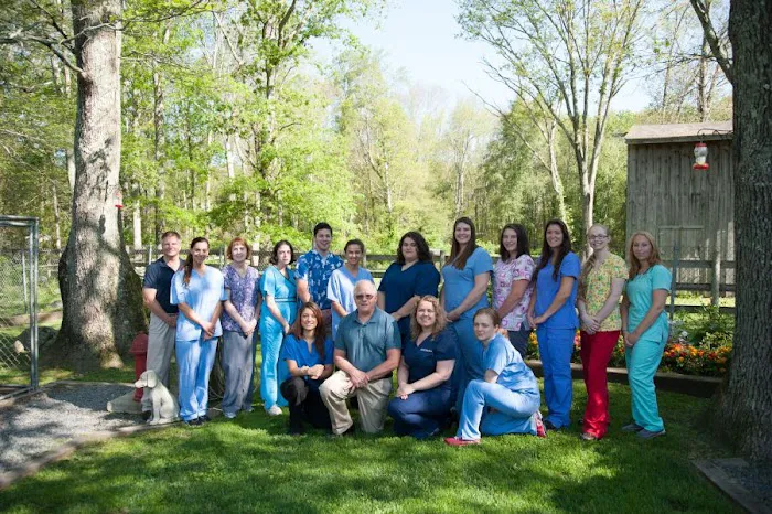 Dighton Rehoboth Animal Hospital, Inc Picture 6