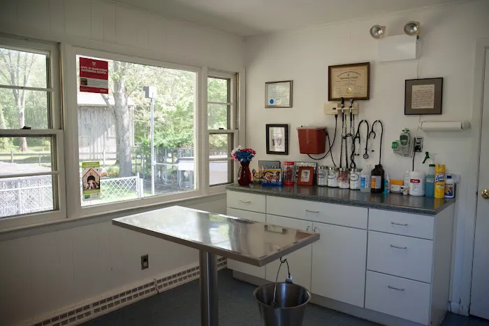 Dighton Rehoboth Animal Hospital, Inc Picture 5