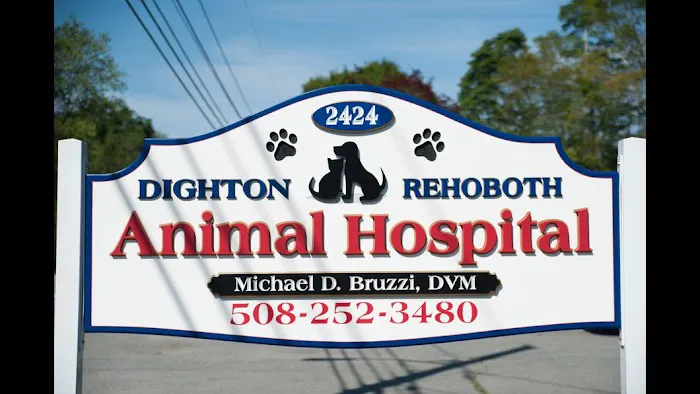 Dighton Rehoboth Animal Hospital, Inc Picture 7