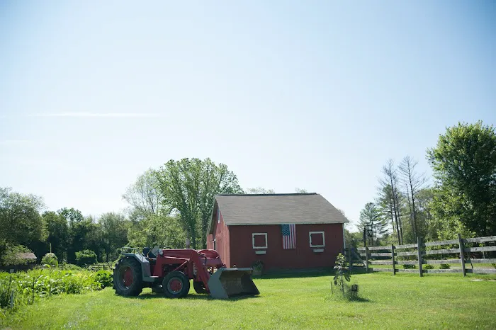 Dighton Rehoboth Animal Hospital, Inc Picture 3