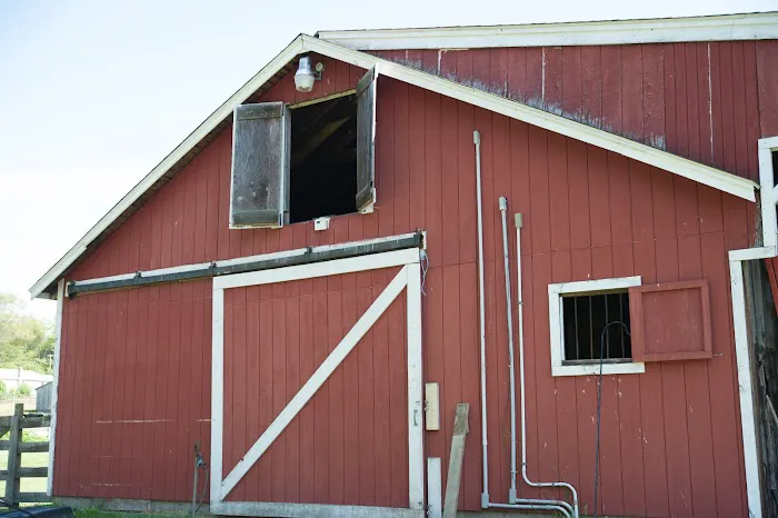 Dighton Rehoboth Animal Hospital, Inc Picture 9