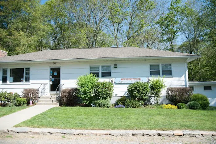 Dighton Rehoboth Animal Hospital, Inc Picture 10