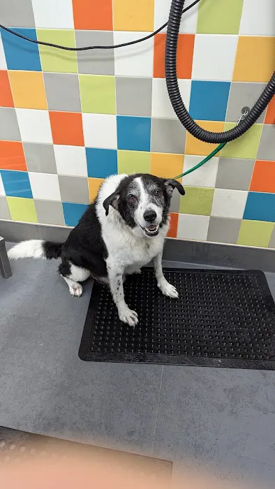 Unleashed by Petco Picture 8