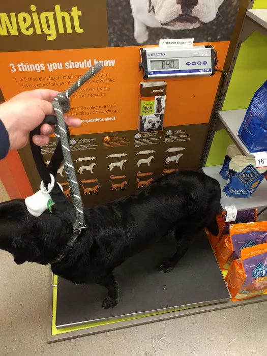 Unleashed by Petco Picture 10