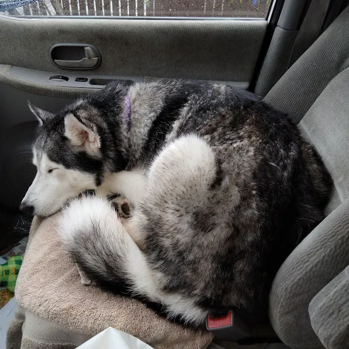 Unleashed by Petco Picture 7