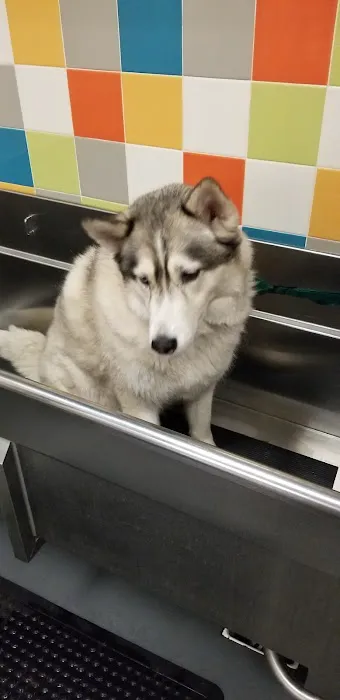 Unleashed by Petco Picture 4