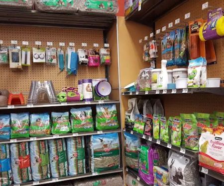 Unleashed by Petco