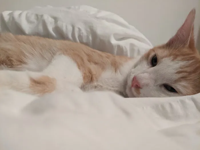 Unleashed by Petco Picture 9