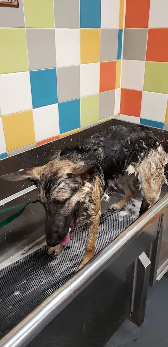 Unleashed by Petco Picture 2