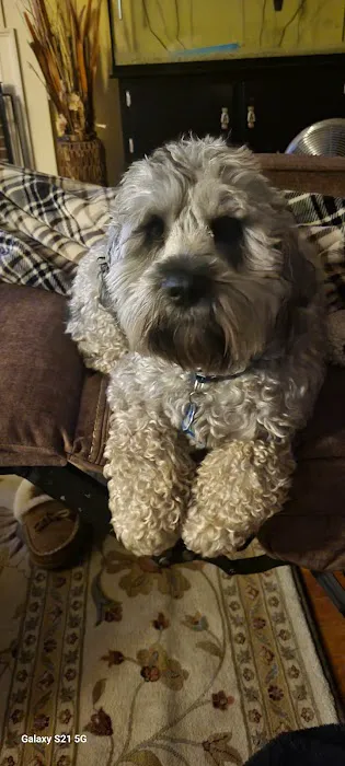 Banfield Pet Hospital Picture 1