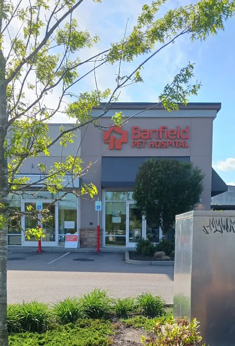 Banfield Pet Hospital Picture 7