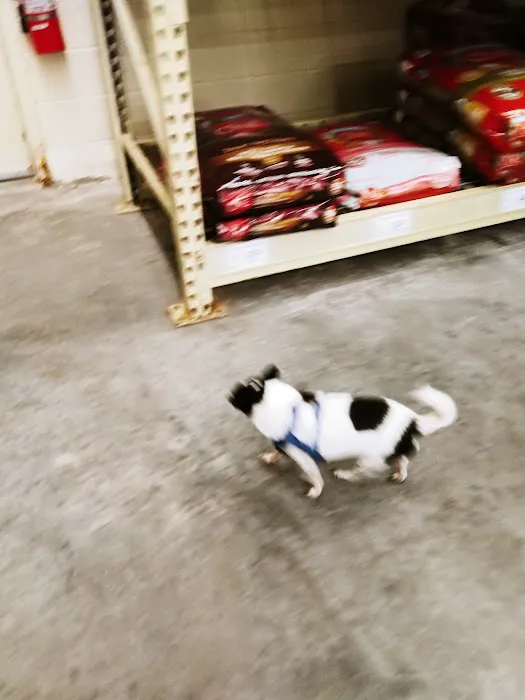 Banfield Pet Hospital Picture 8