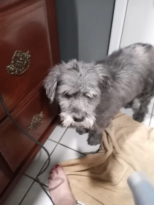 Banfield Pet Hospital Picture 10