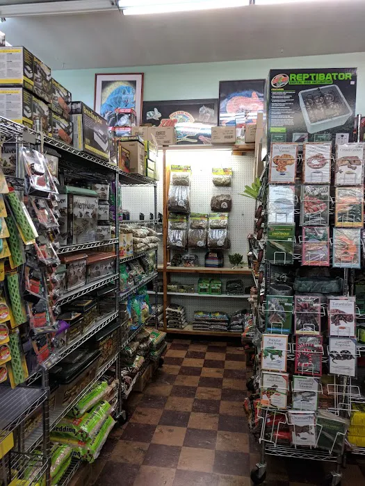 Tropical Hut Picture 3