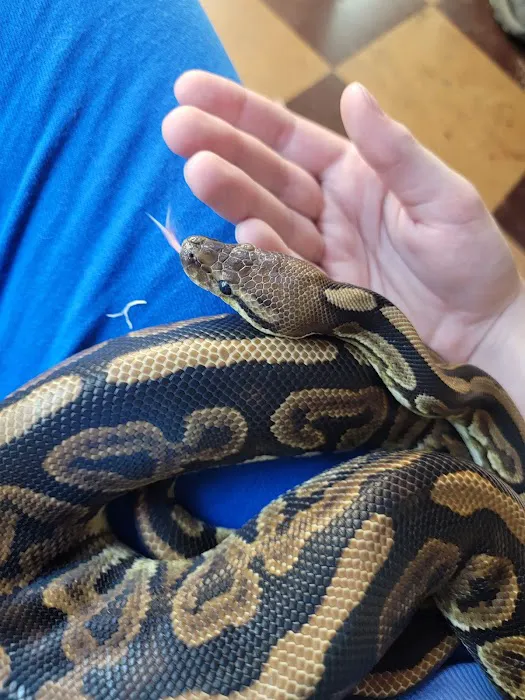 Tropical Hut Picture 4