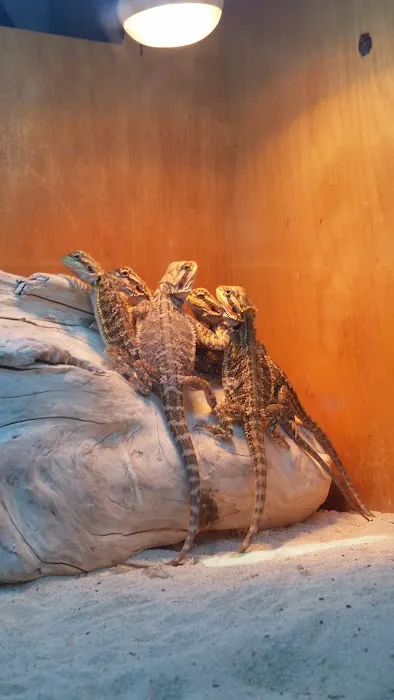 Tropical Hut Picture 2