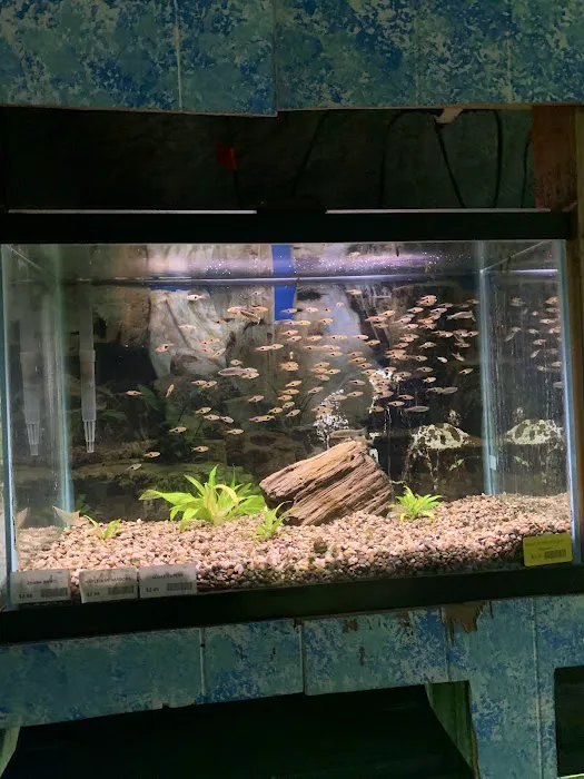 Tropical Hut Picture 1