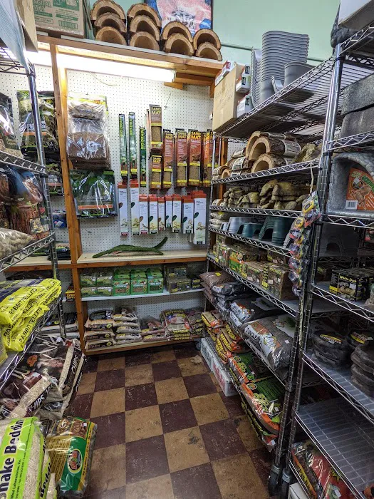 Tropical Hut Picture 7